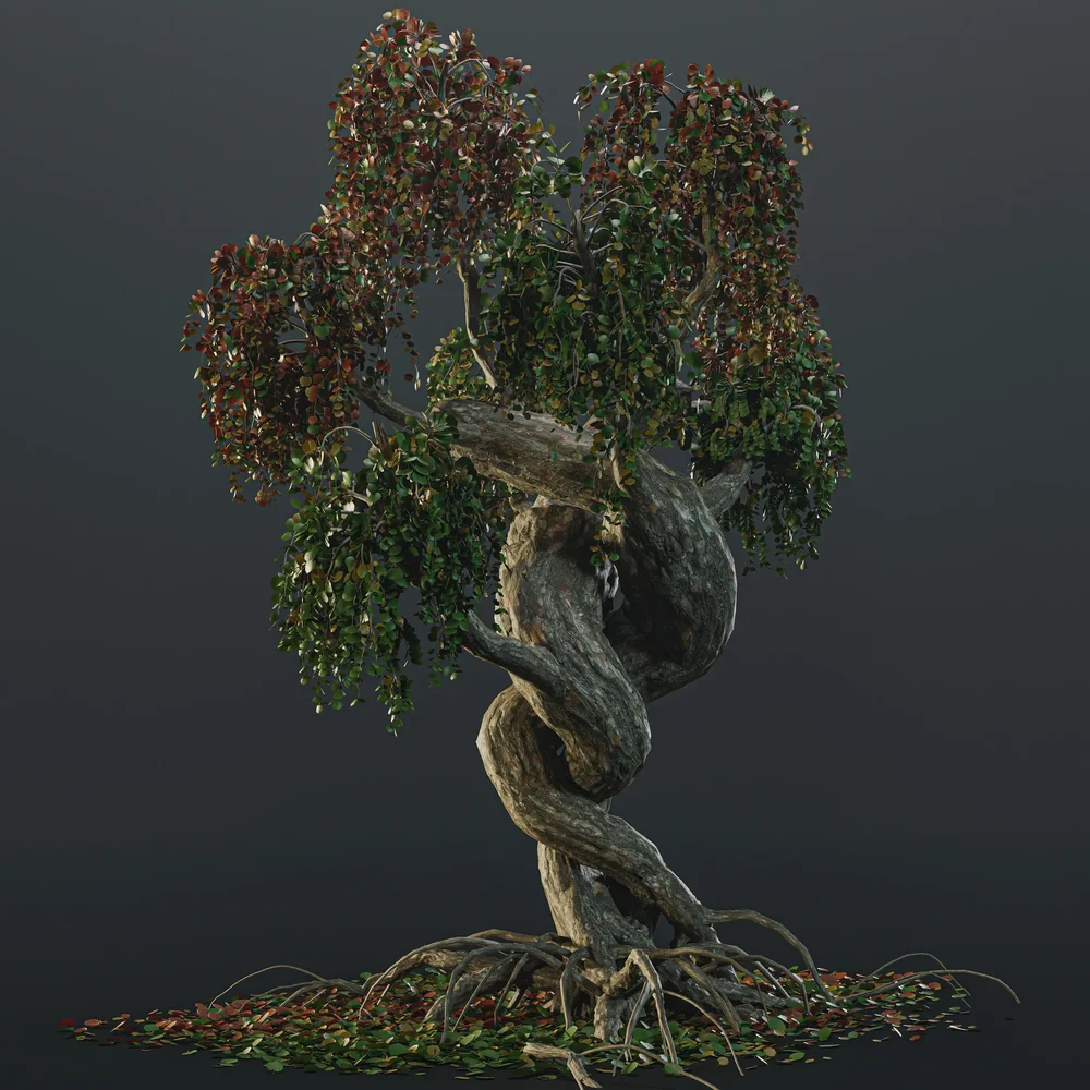 Autumn Bonsay Tree