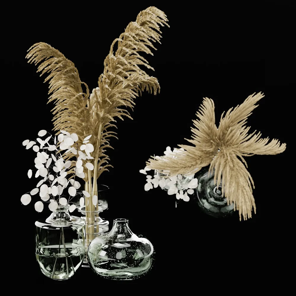 Decorative Set With Pampas And Lunaria