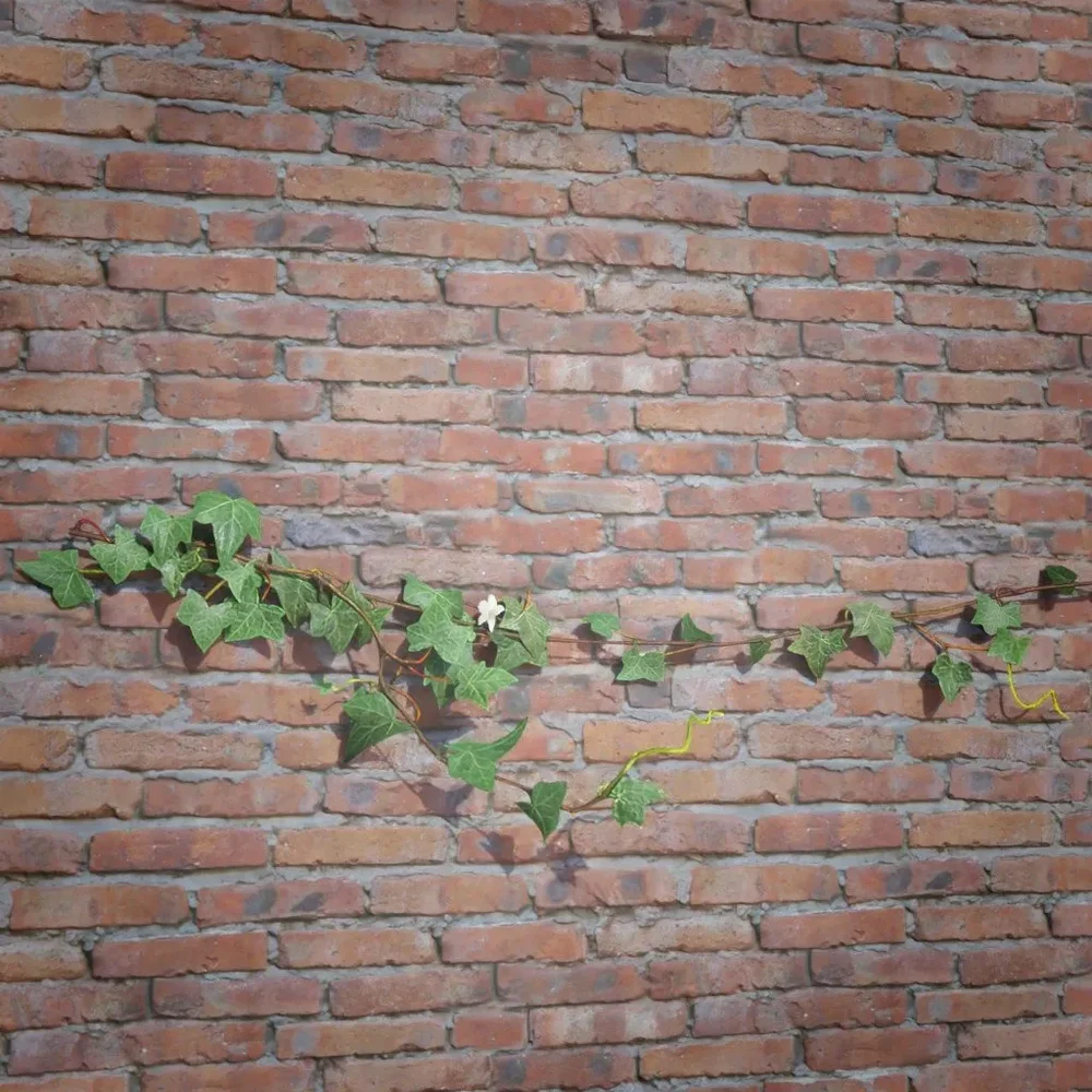 Ivy Creeper Side 1m 02