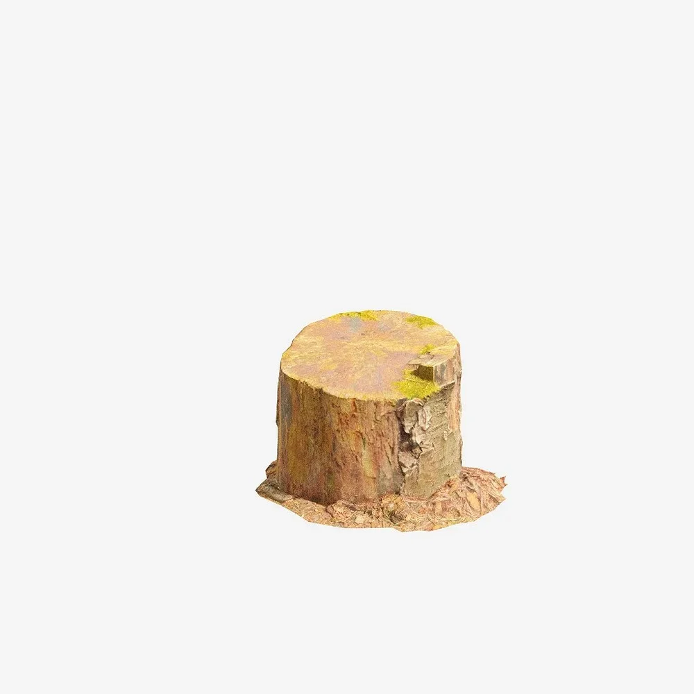 Tree Stump Sawed Pbr Scan 02