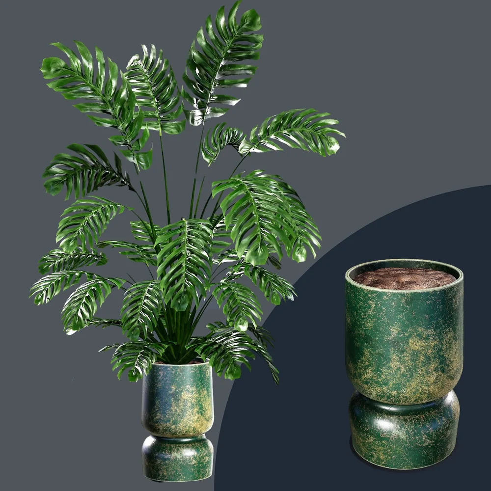 Sj-Monstera 05