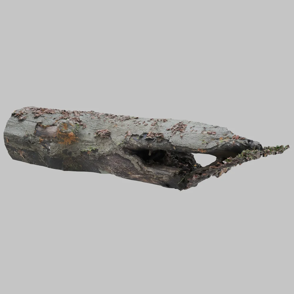 Photoscan Dead Fallen Tree