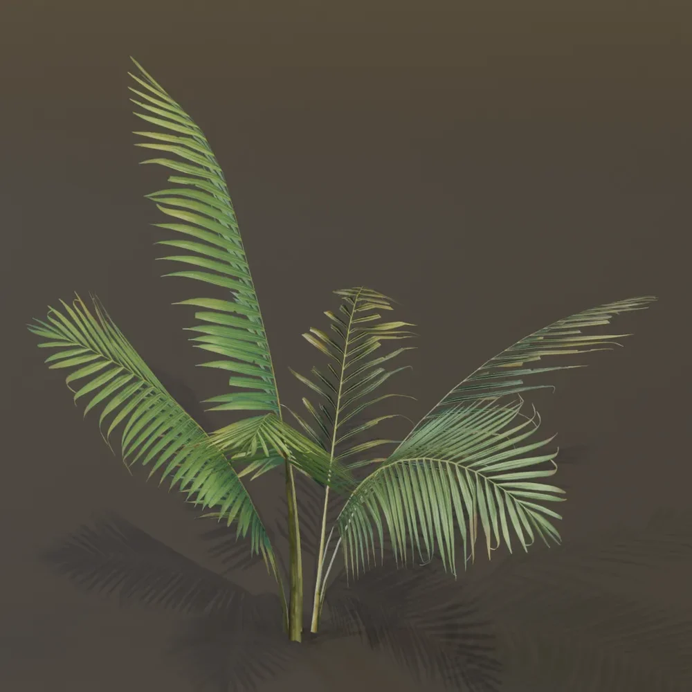 Small Palm Tall