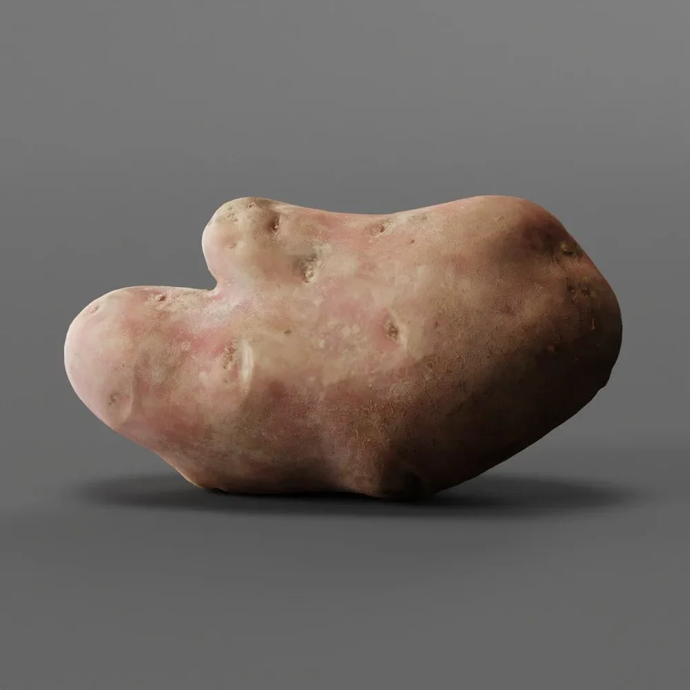 Potato Scanned