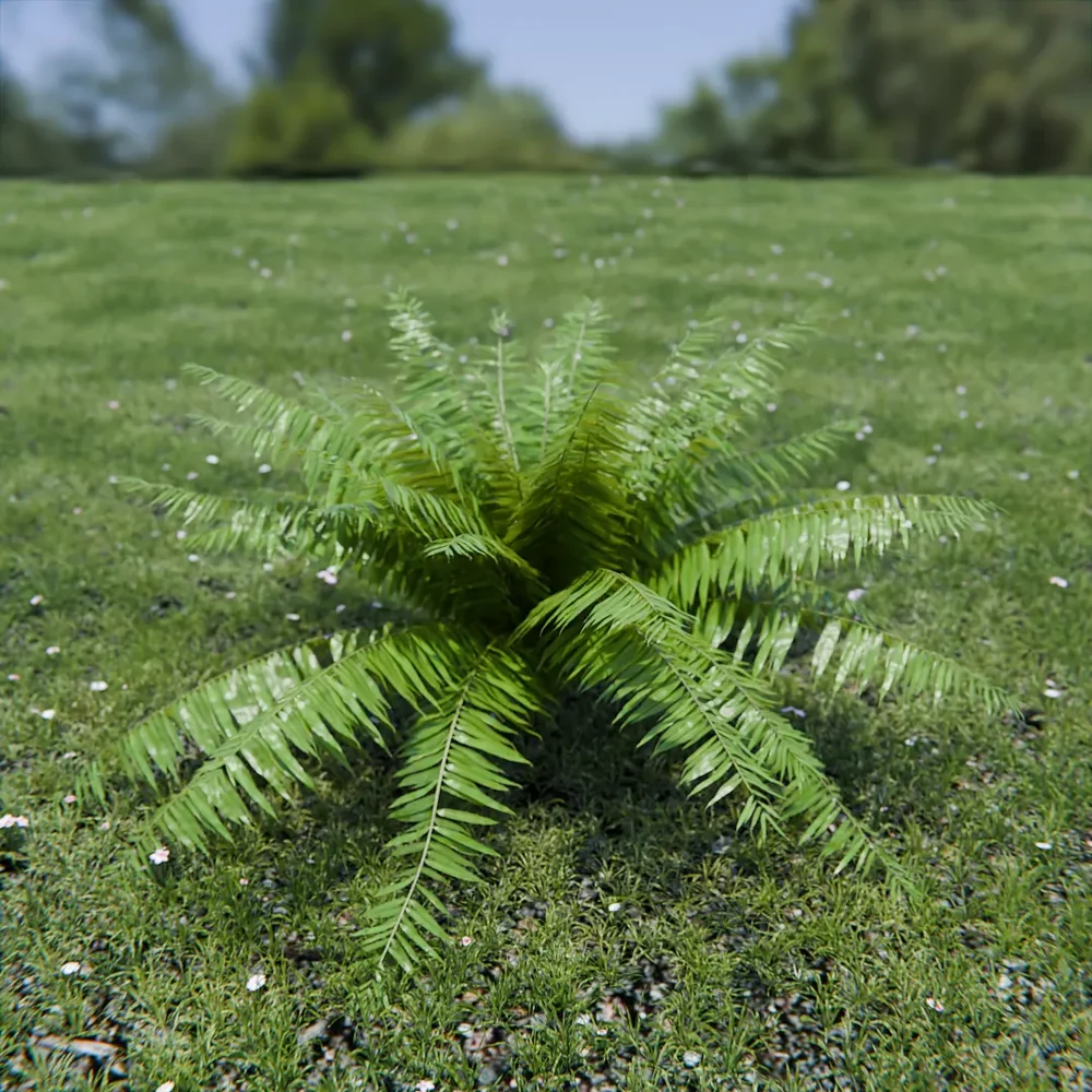 Hard Fern