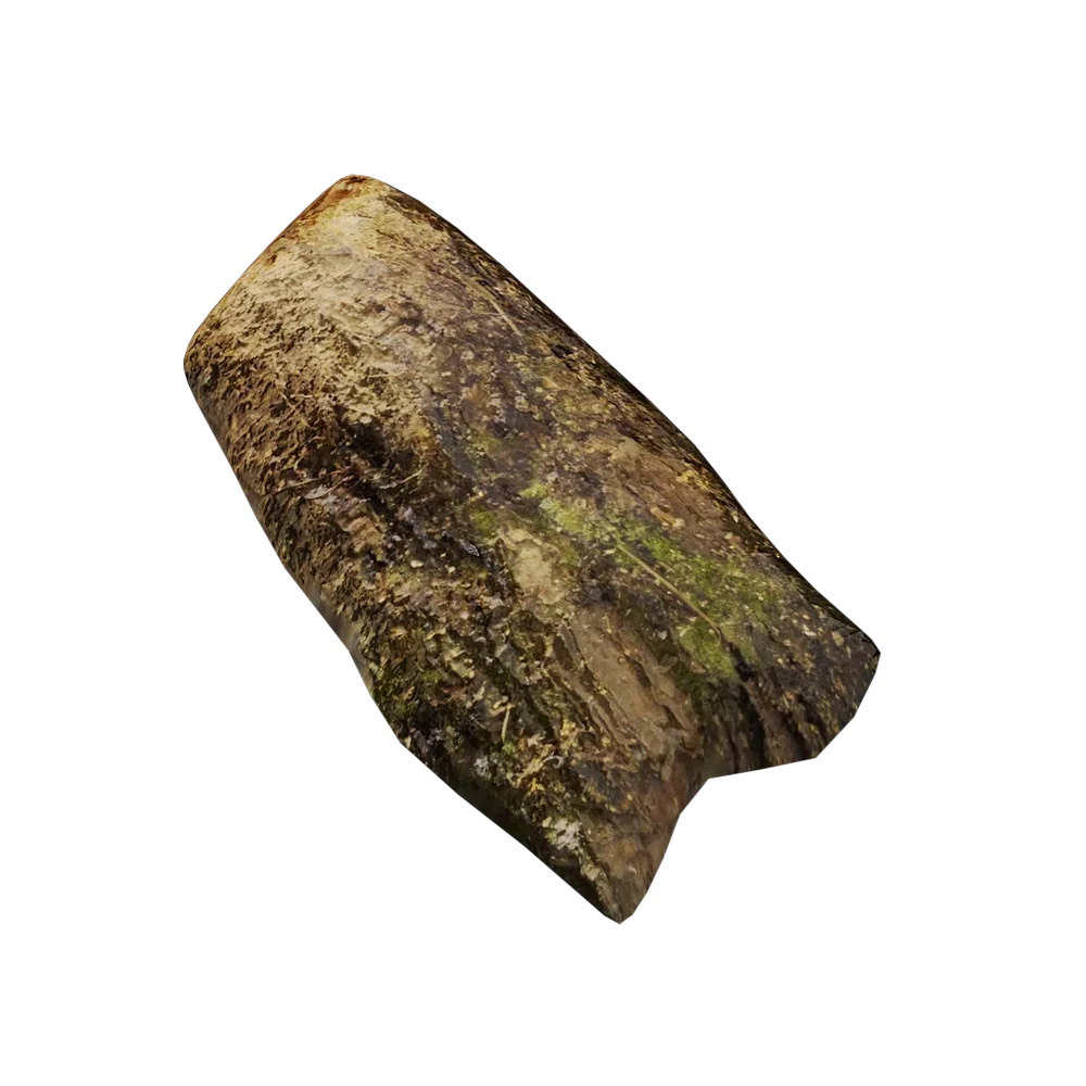 Tree Bark Debris