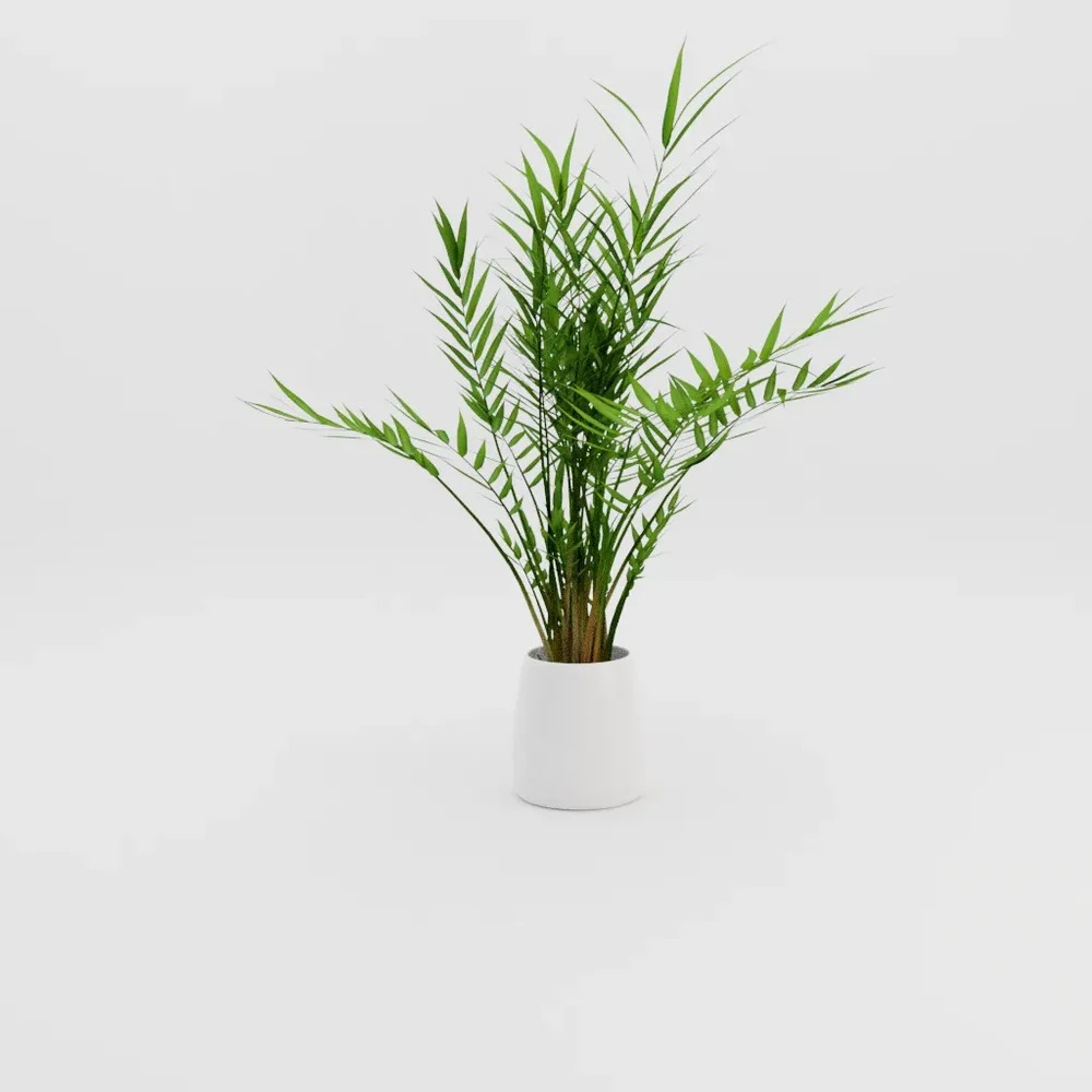 Plant 001