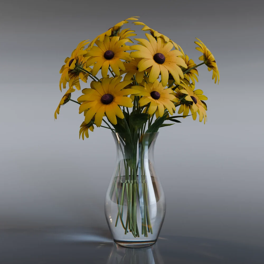 Black Eyed Susan Flower Plant - Rudbeckia Hirta