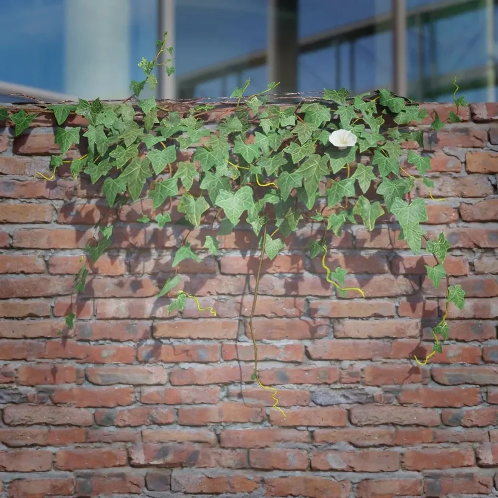 Ivy Creeper Ledge 1m 01 03