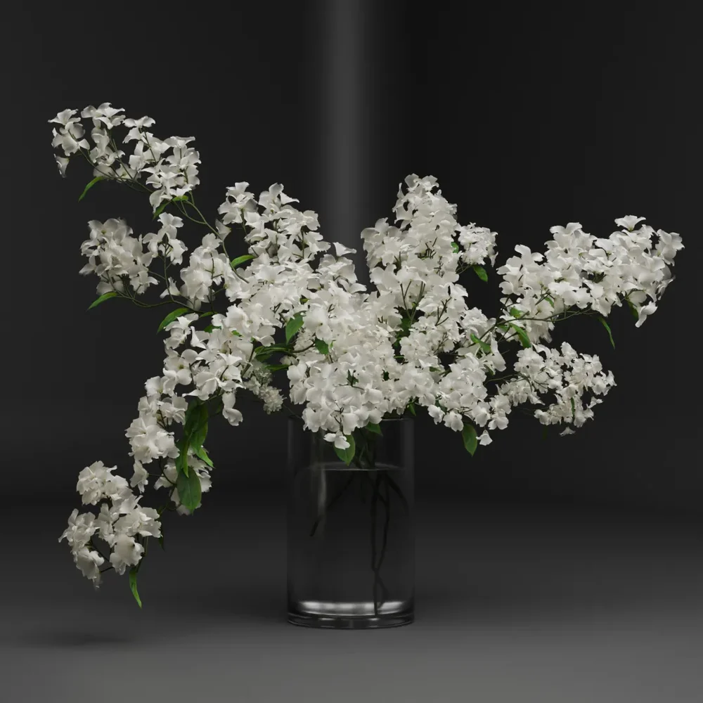 White Blossom Branches