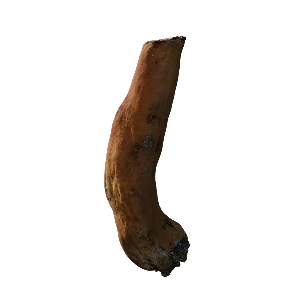 Mushroom