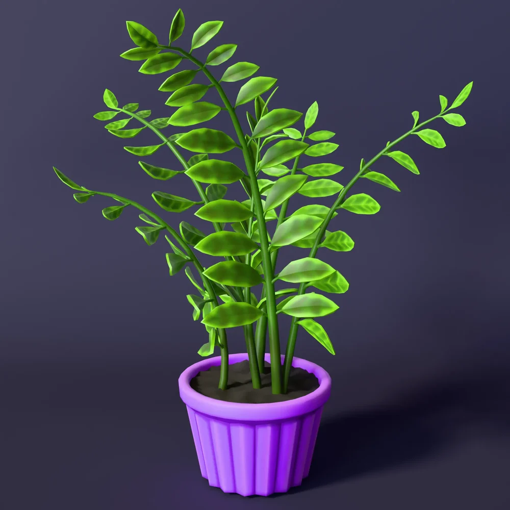 Stylized Zamioculcas Houseplant