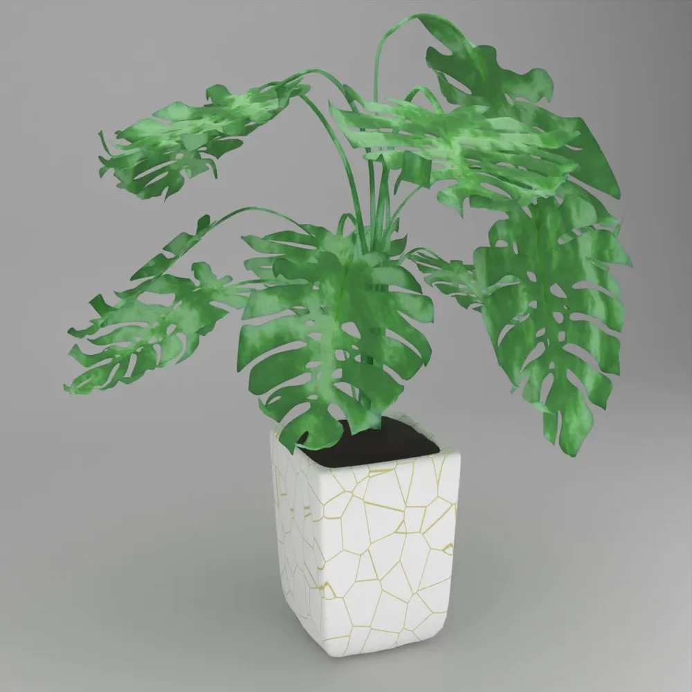 Monstera With Golden Marbling Vase