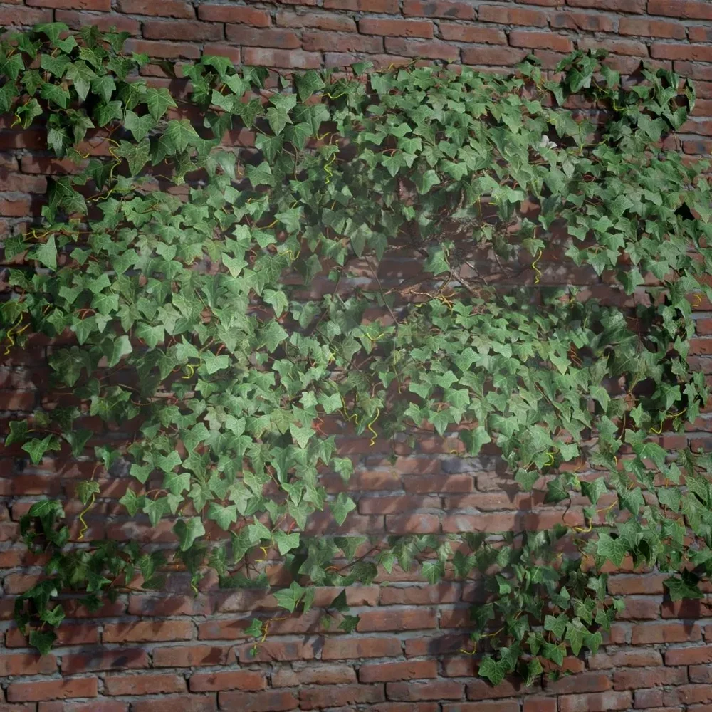 Ivy Creeper Tile 2m 01 02