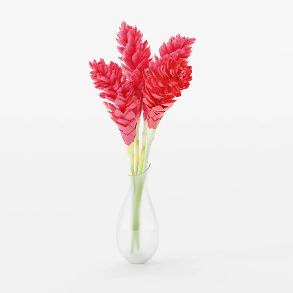 Opuhi Vase