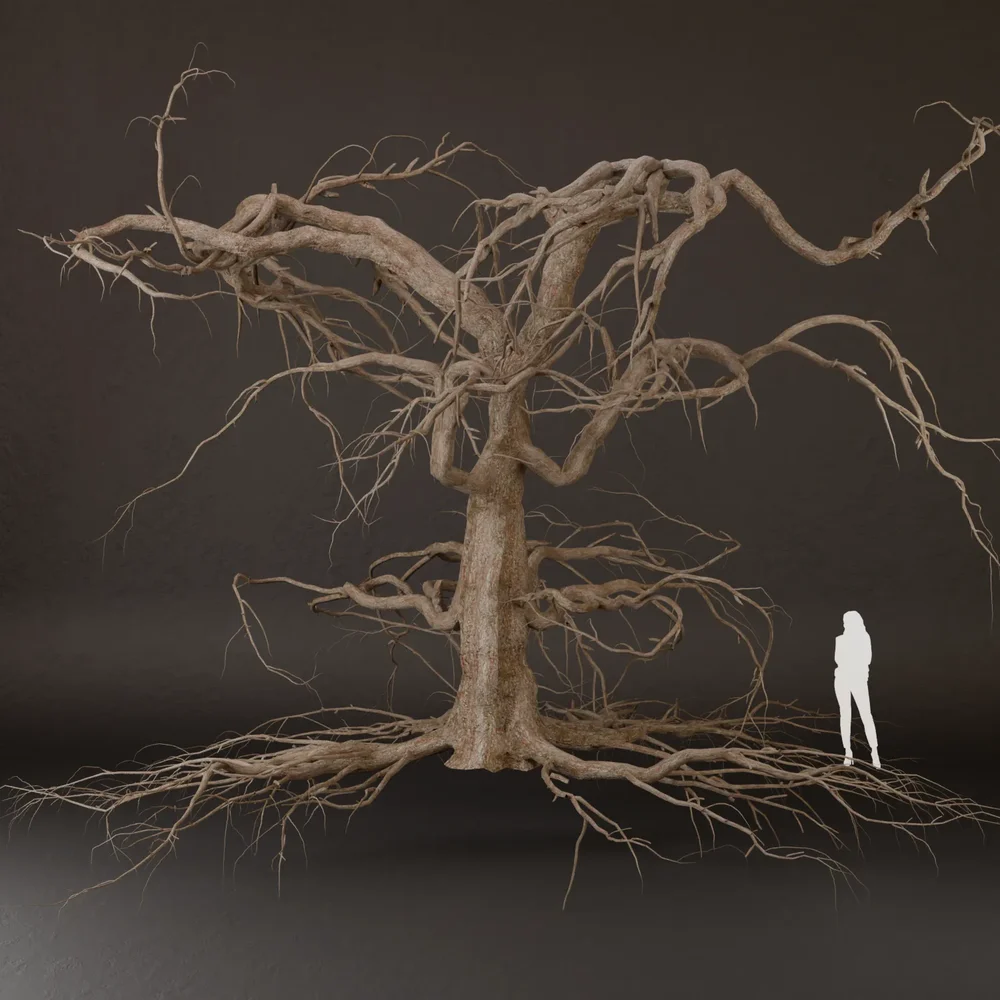 Sj-Weathered Tree Without Foliage