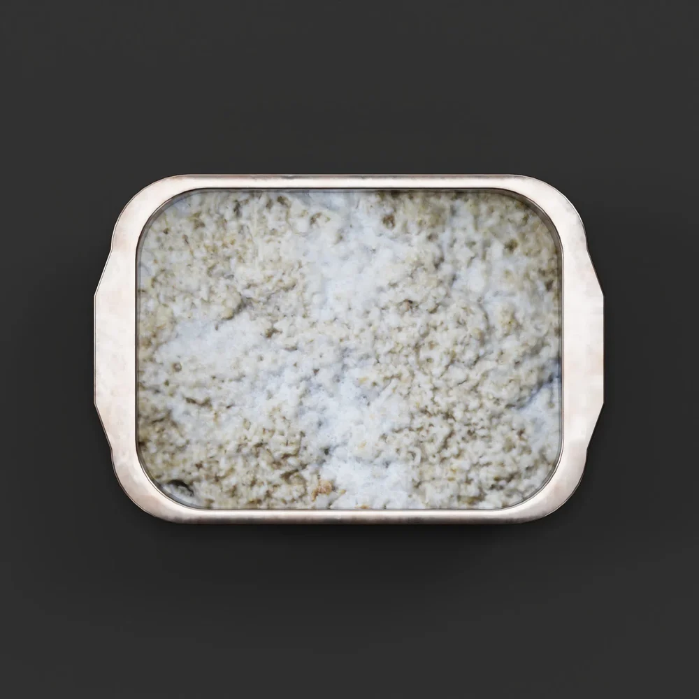 Baked Oatmeal Dish 01