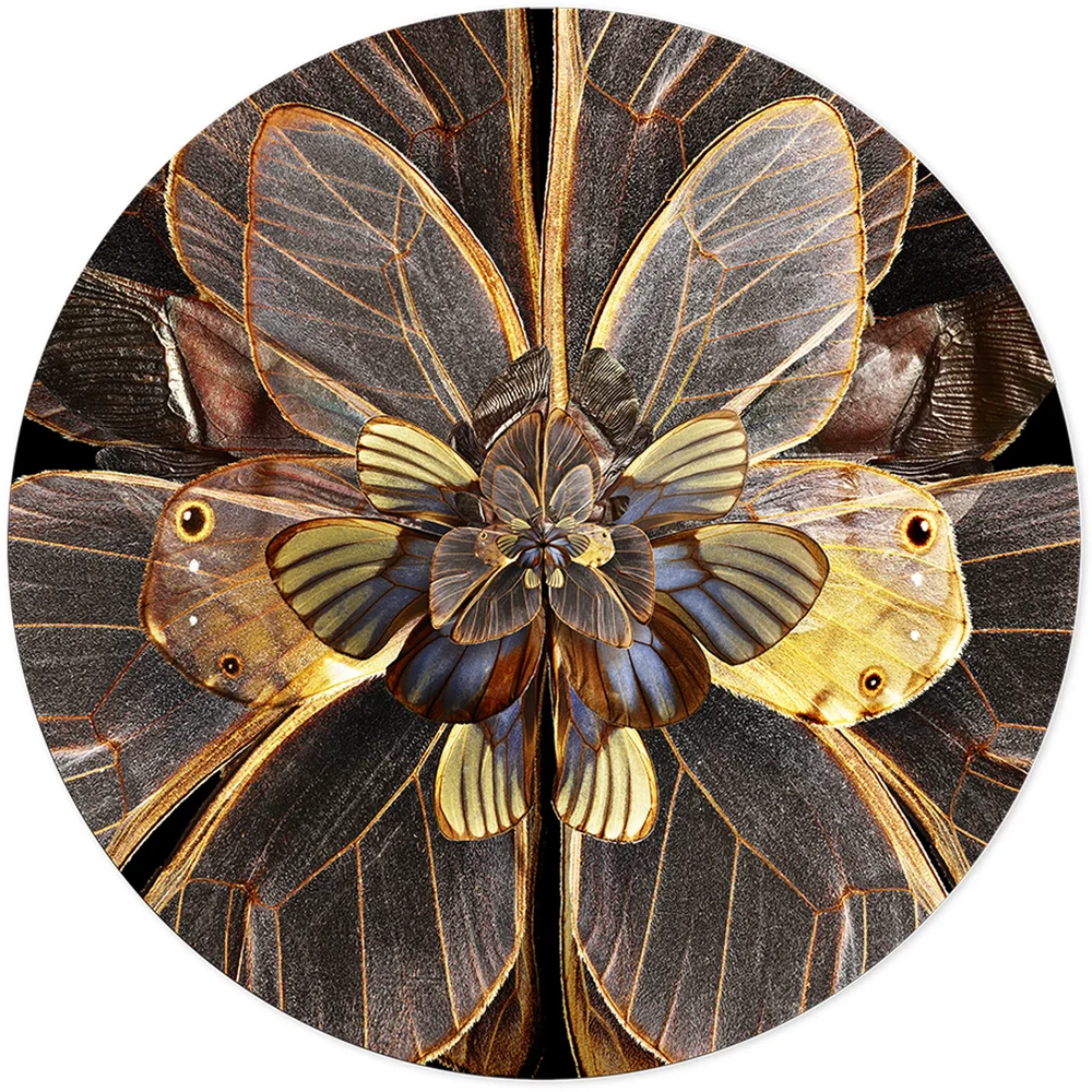 Mimesis Lubhyati Solitudinis Carpet