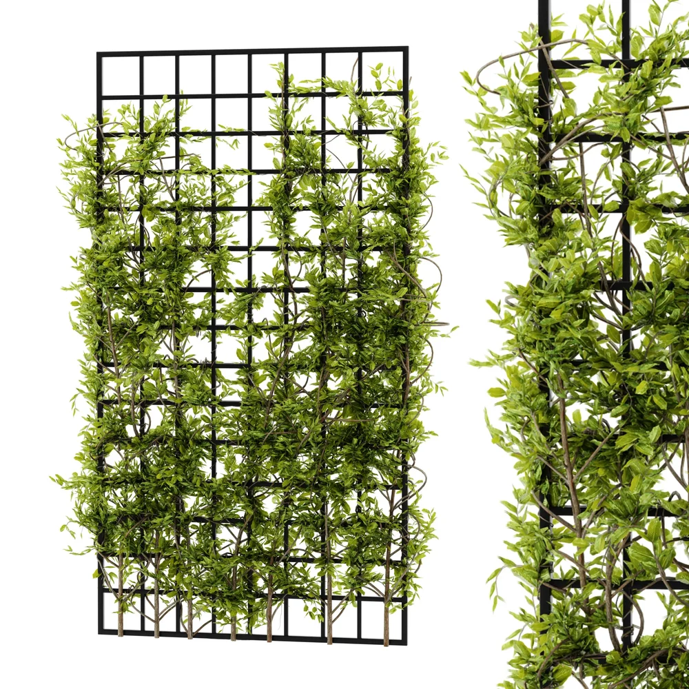 Ivy Wall Grid Plant