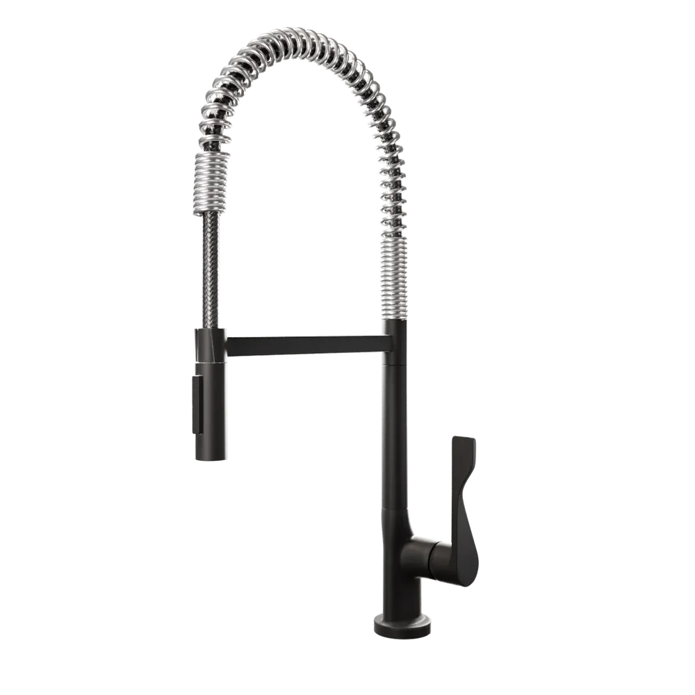 Professional Faucet Black Matte