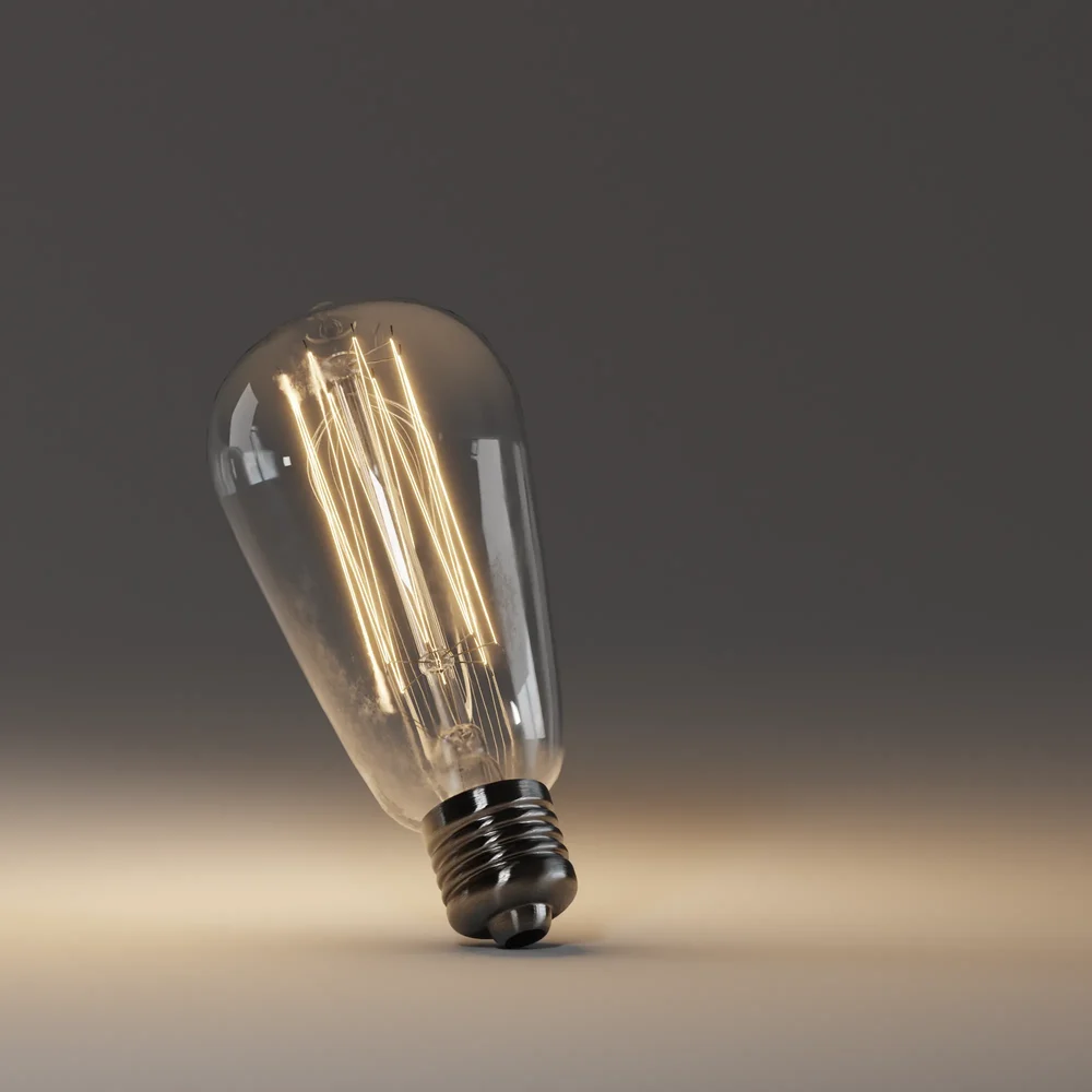 Edison Light Bulb Vintage