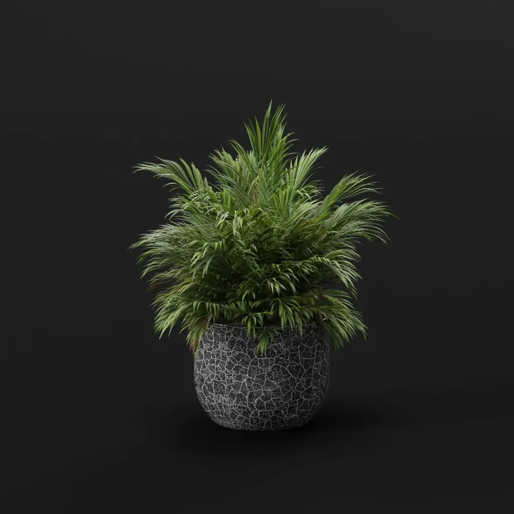 Lush Green Fern Pot