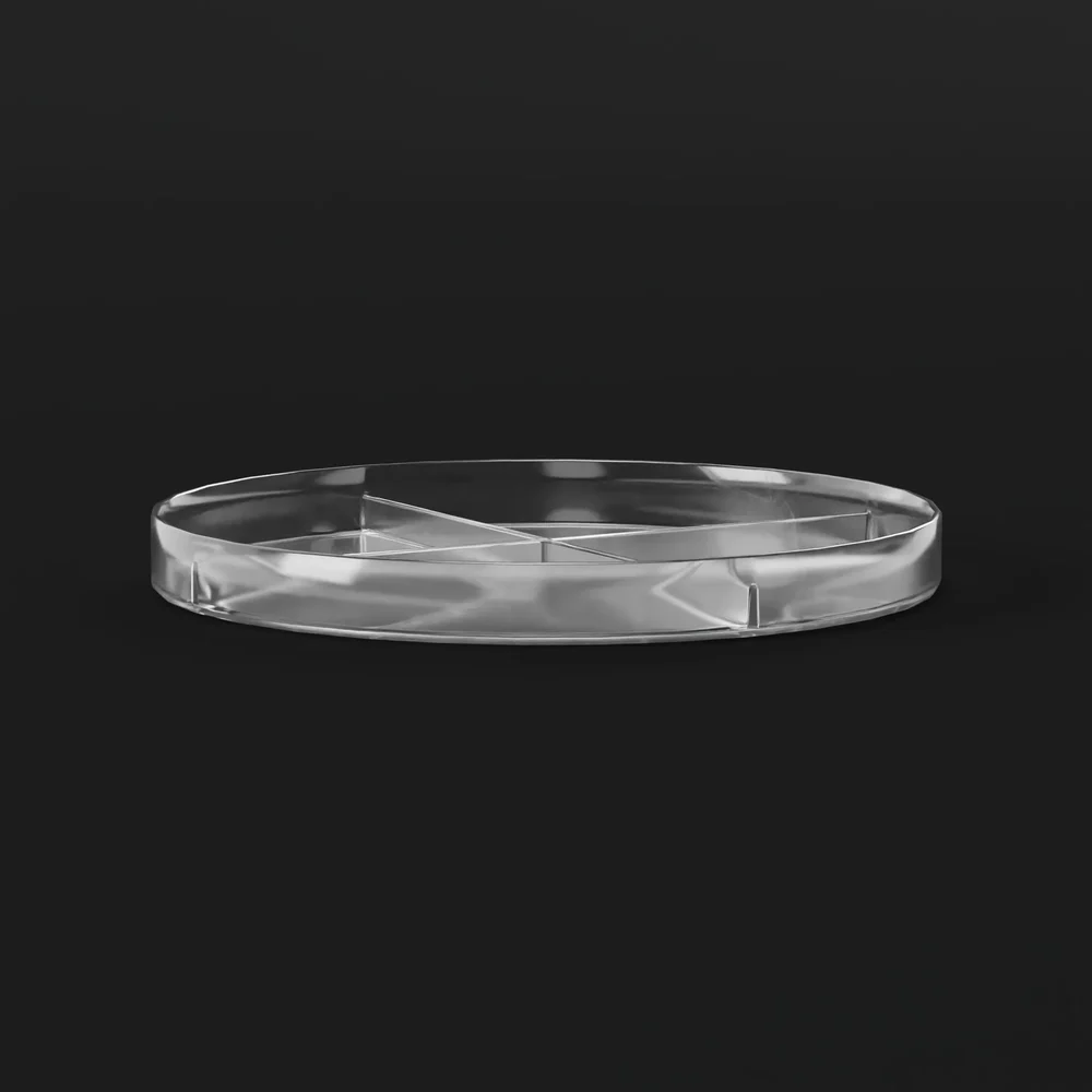 Quadripartite Petri Dish