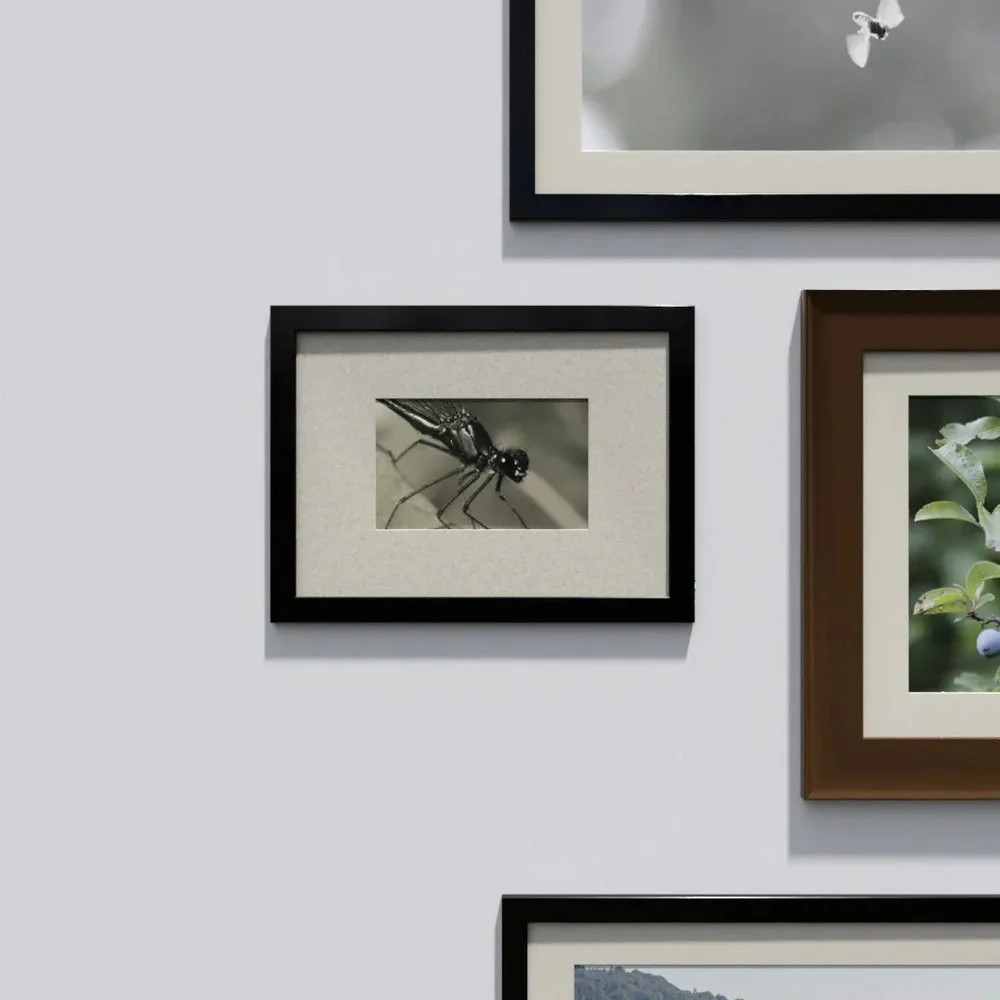 Photo Frame 'Anyframe' With Dragonfly