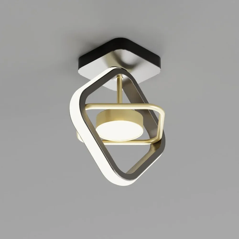 Spotter Ceiling Light
