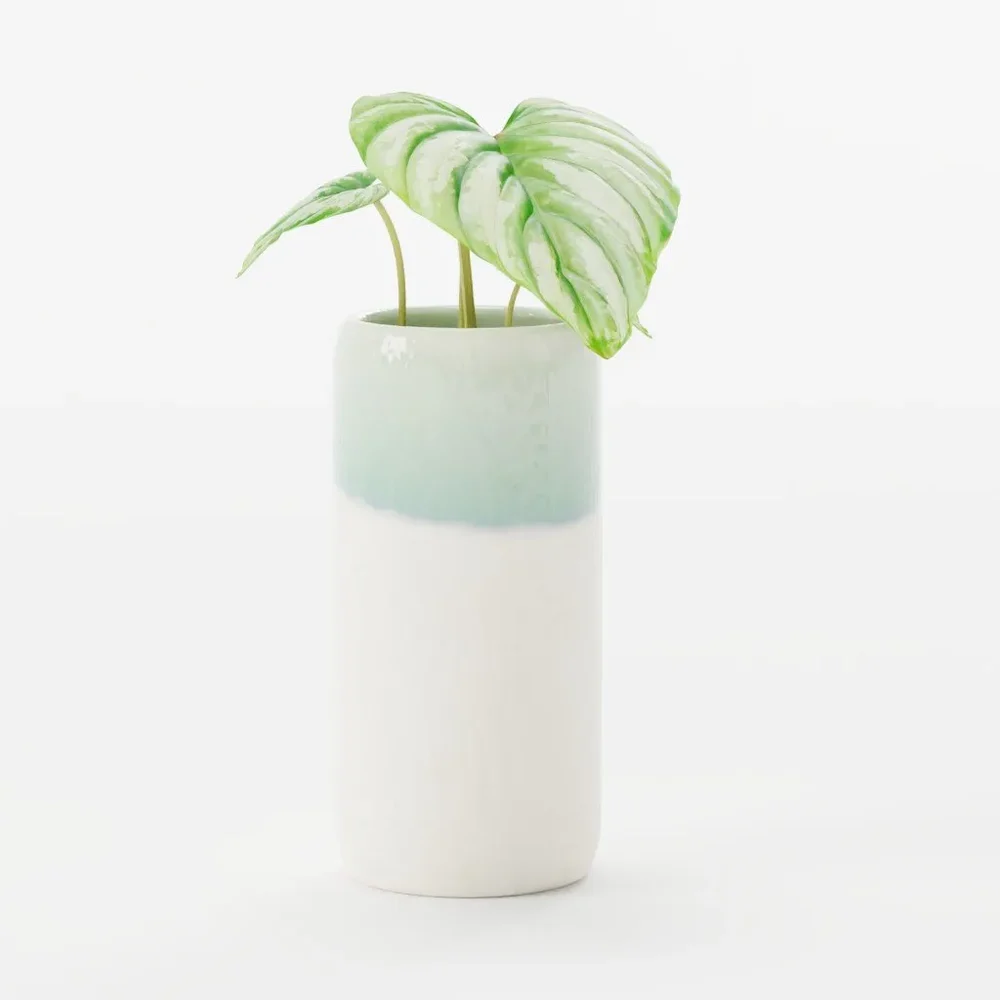 Painted Ceramic Vase With Green Plant