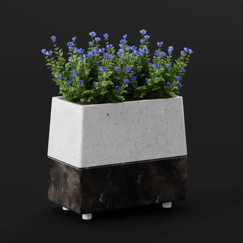 Blue Flowers