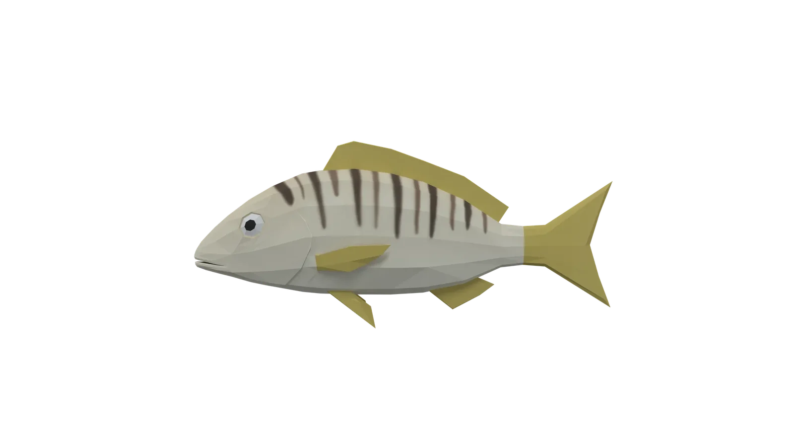 Low Poly Animated Striped Seabream