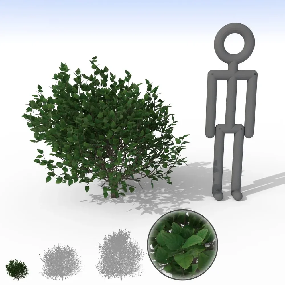 Mid Green Bush - Small