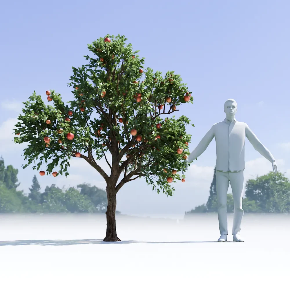 Apple Tree