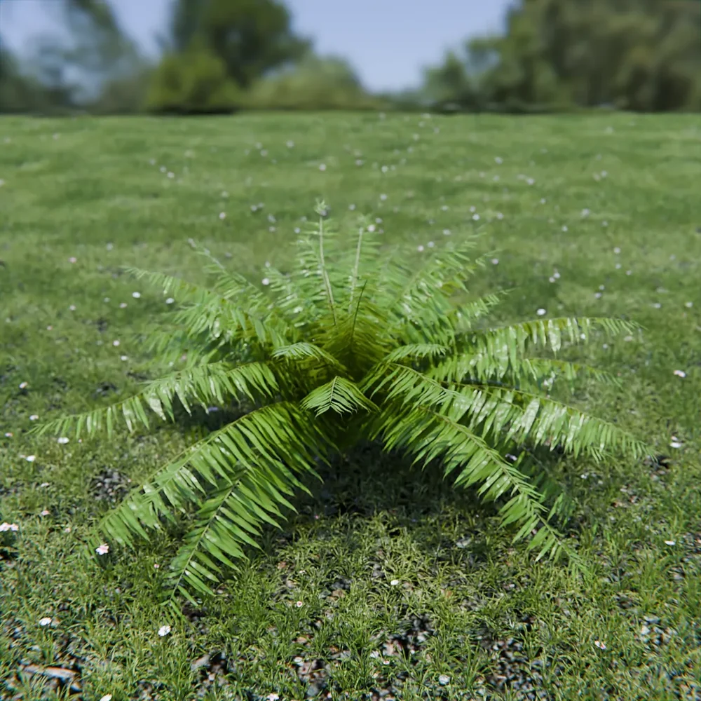 Hard Fern
