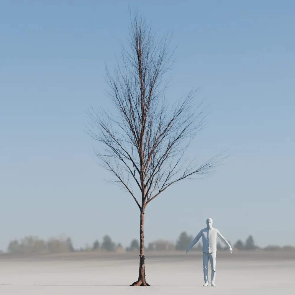 Dry Tree Low Poly Animated