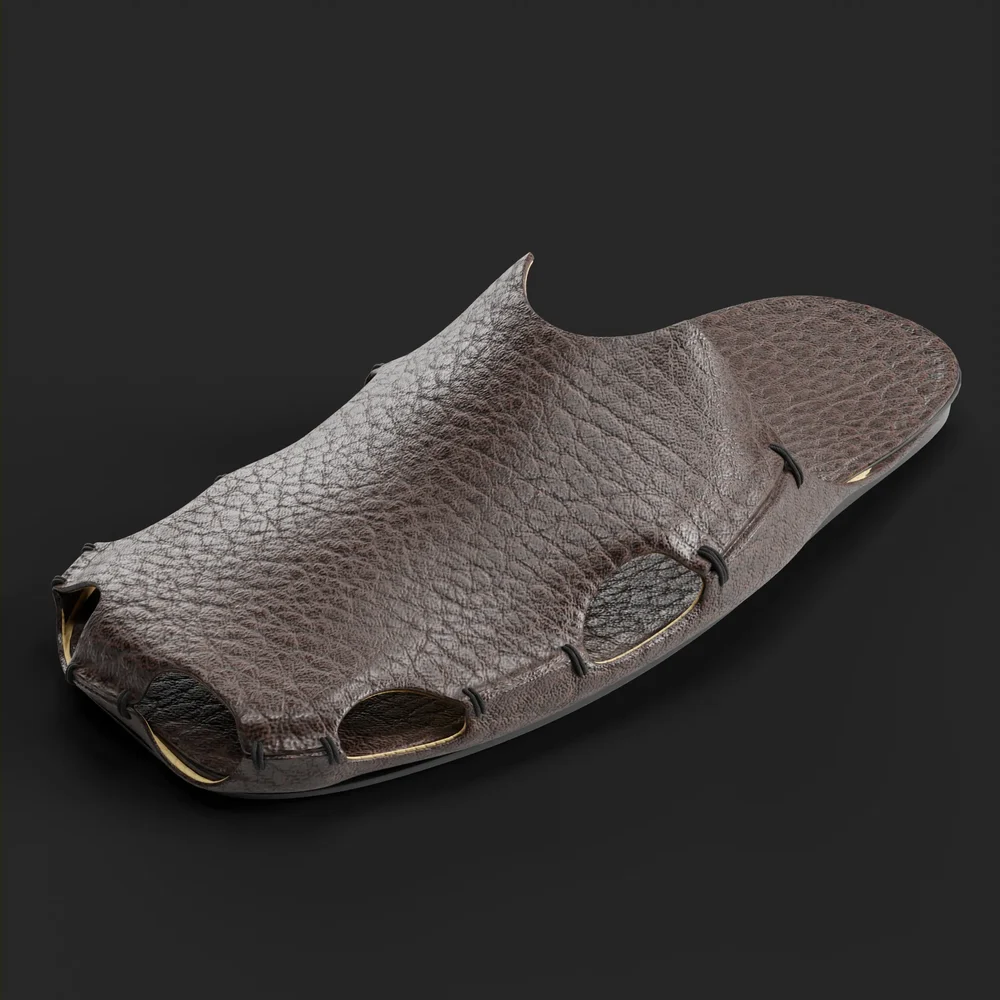 Slipper Shoes