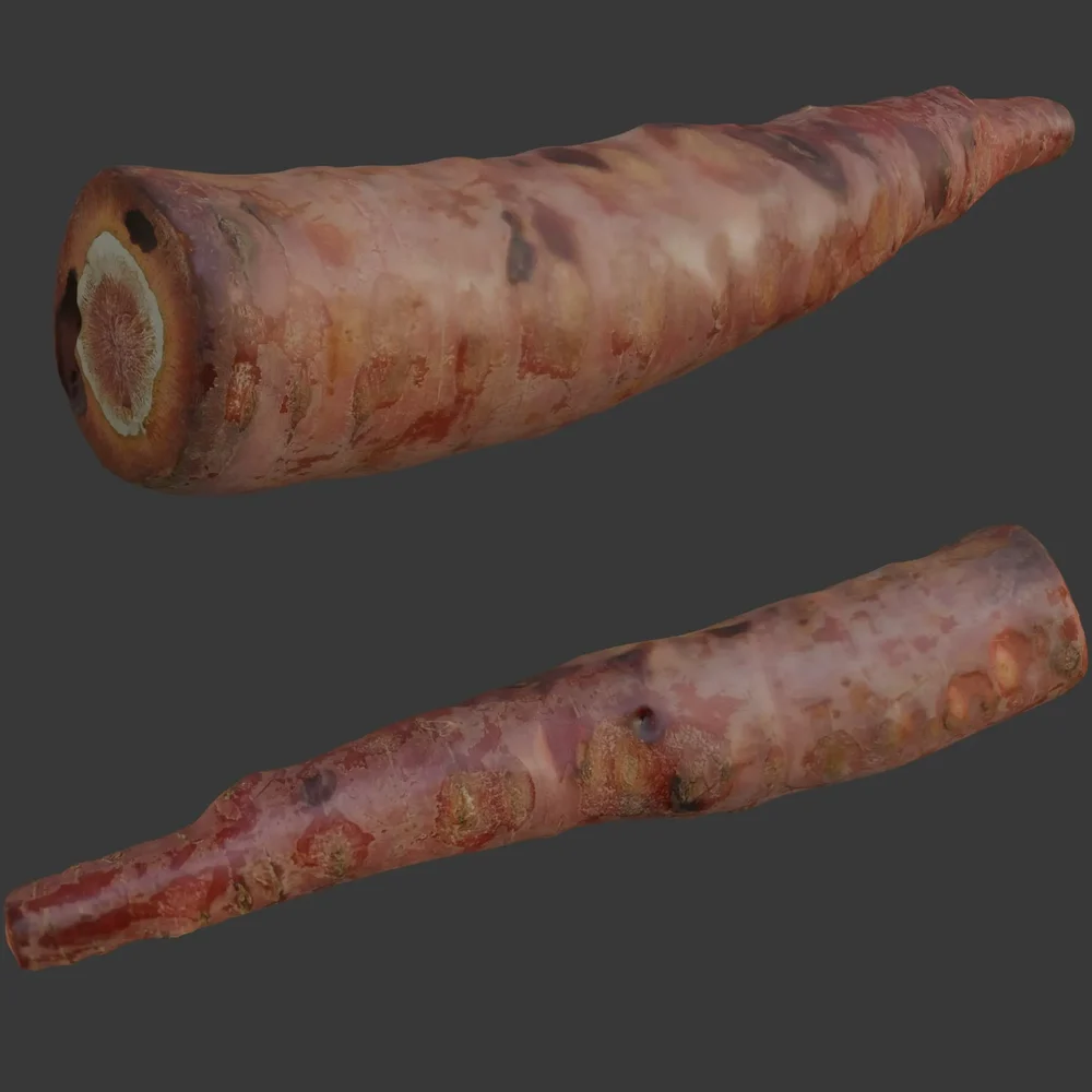 Carrot Scanned