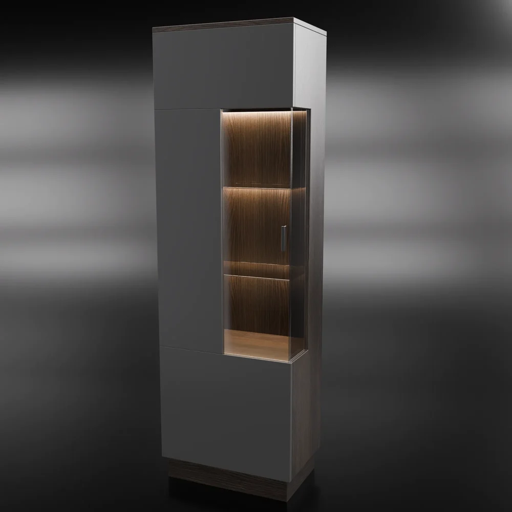 Modern Stylish Black And Wood Showcase