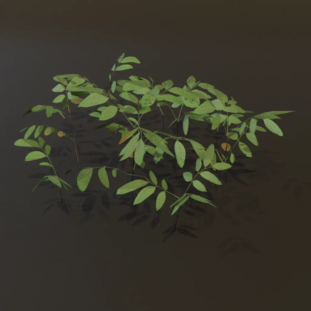 Ground Cover Bush Lrg