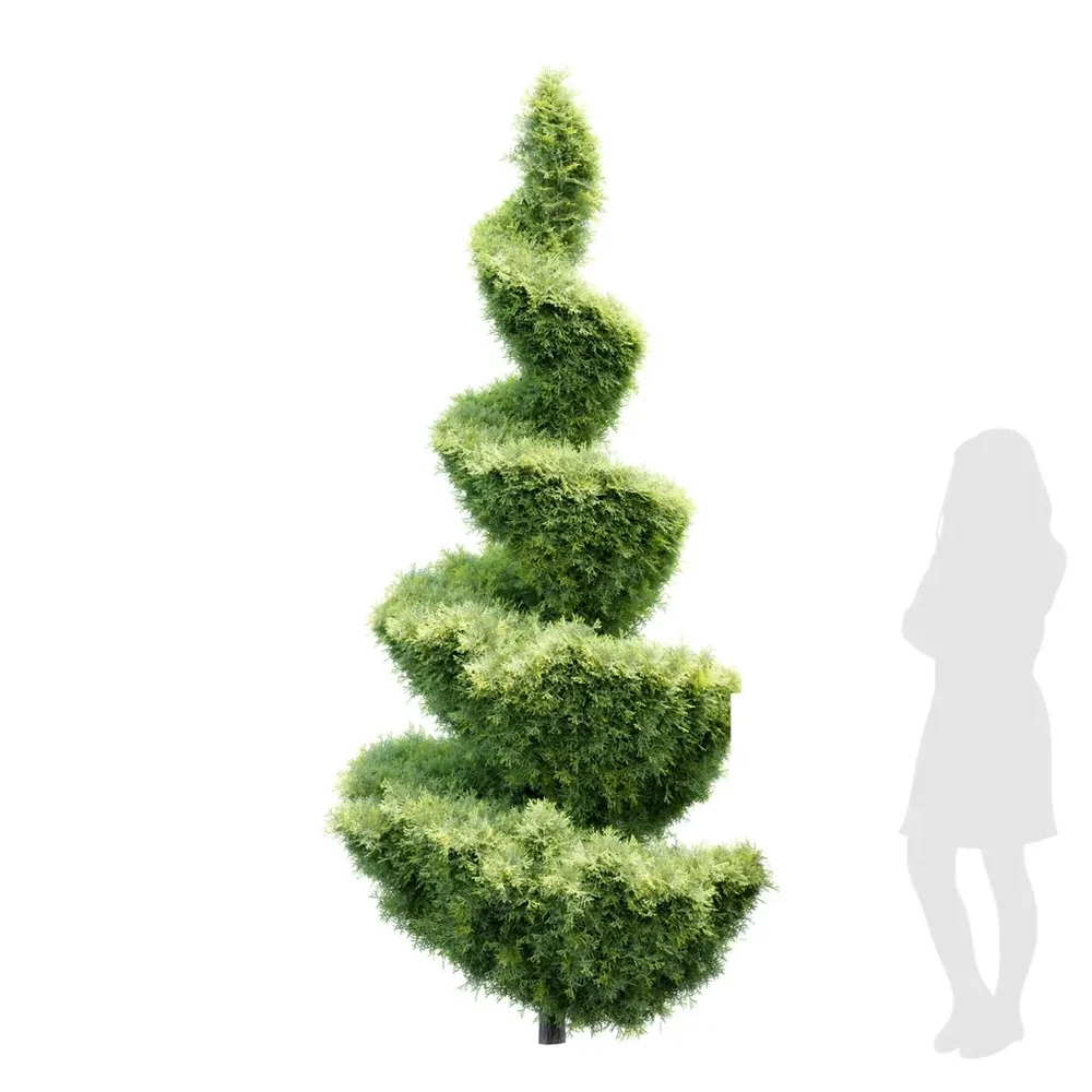 Spiral Italian Cypress Trees
