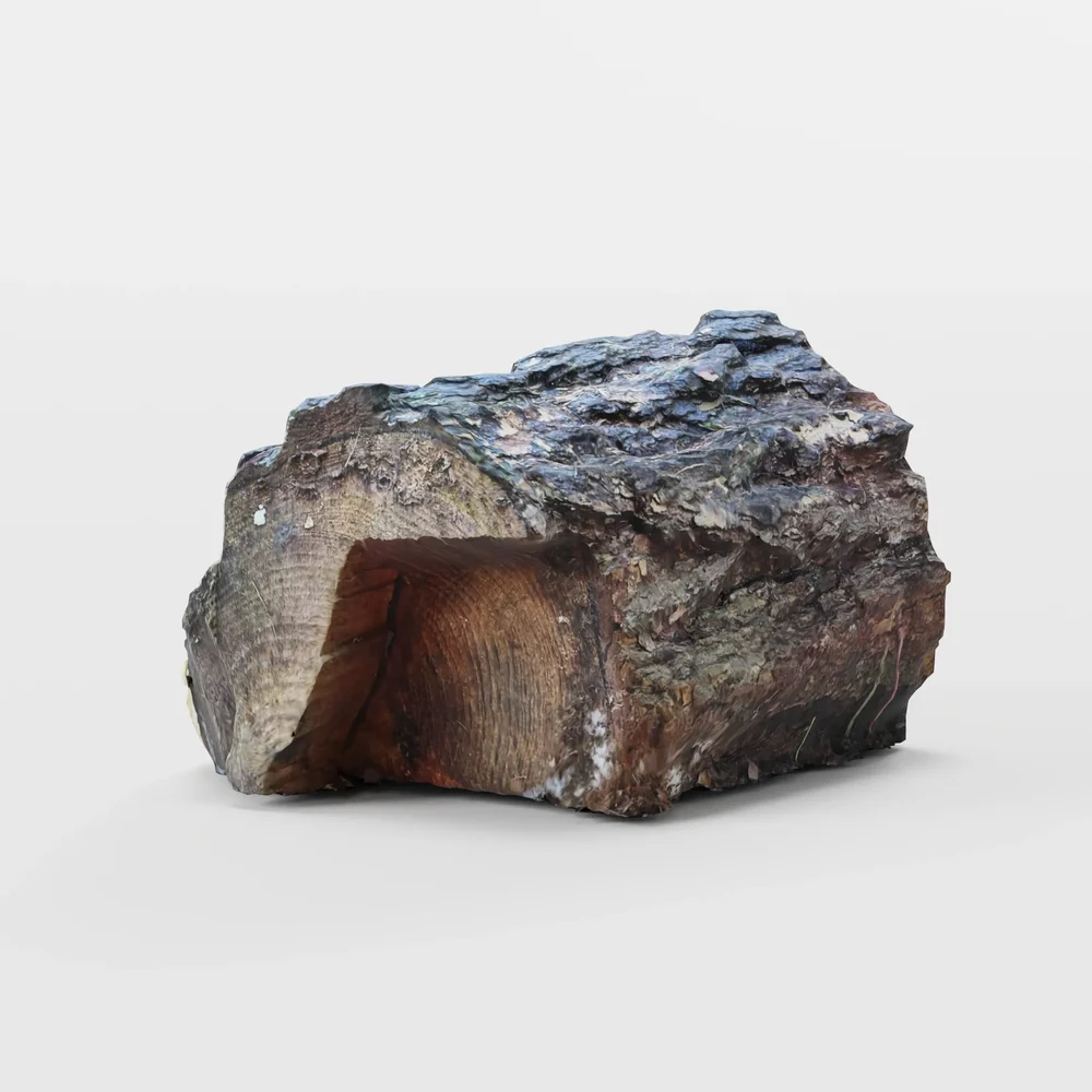 Tree Wood Log