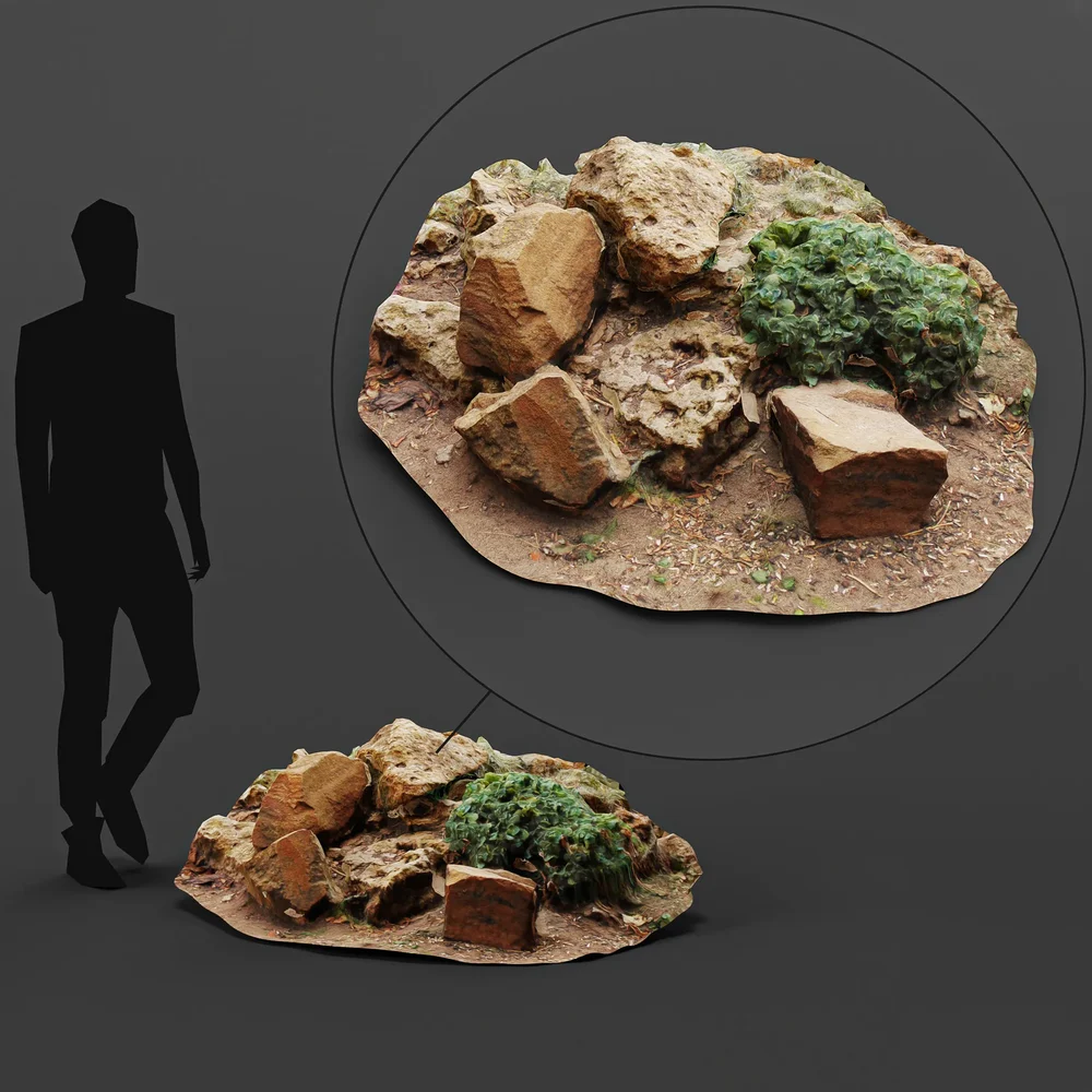 Small Rock Garden
