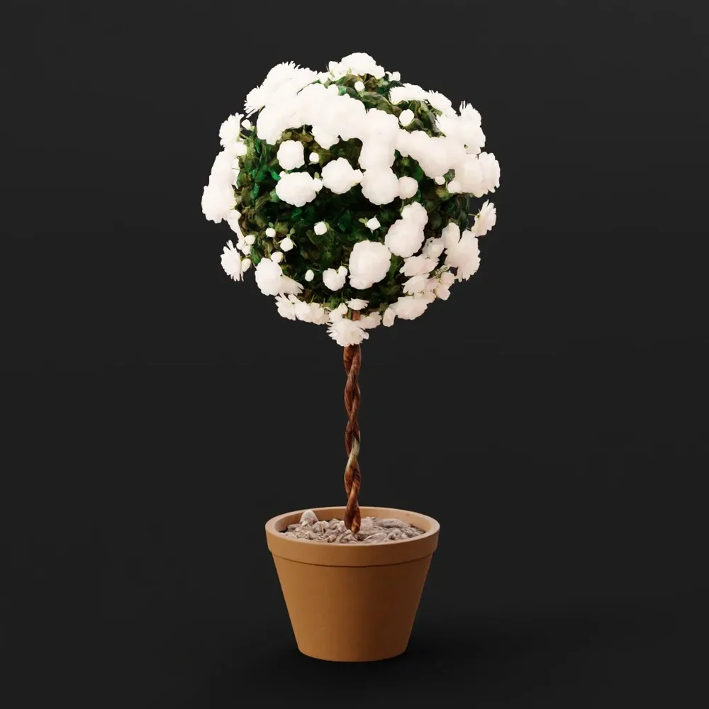 Rose Bush Standardised White