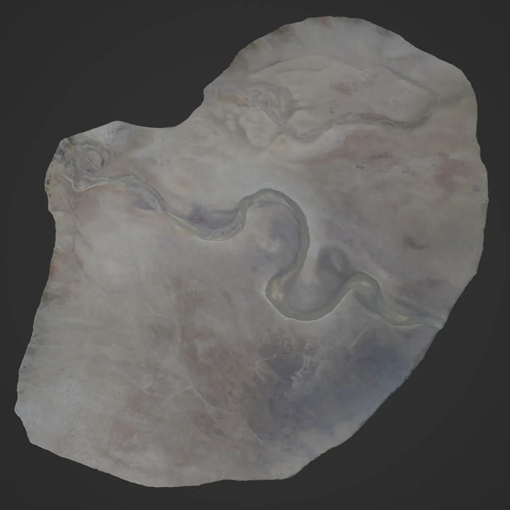 Muddy Shore In Inlet Photoscan