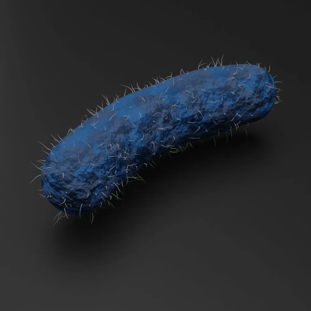 Bacteria 01