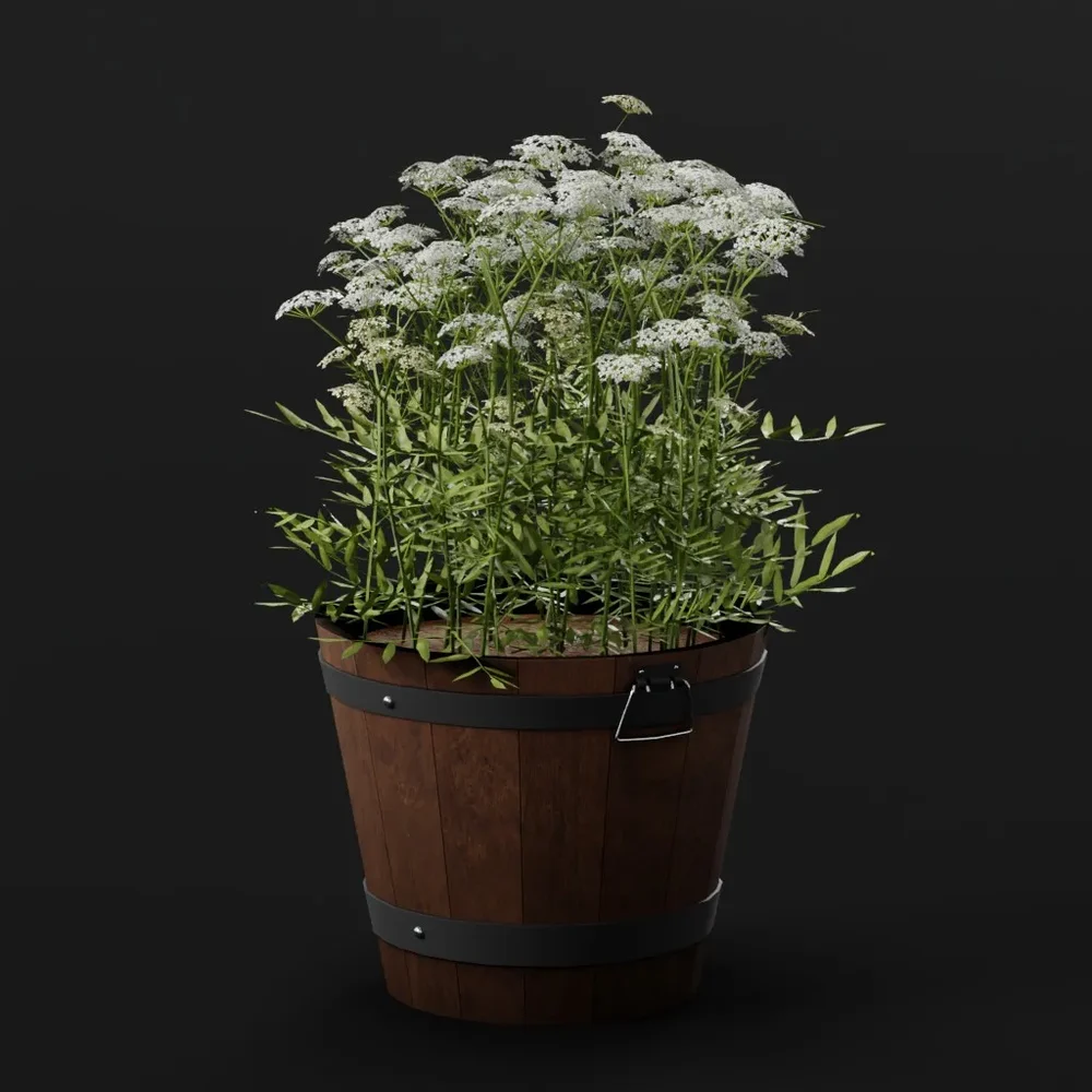 Lapland Poppy Pot