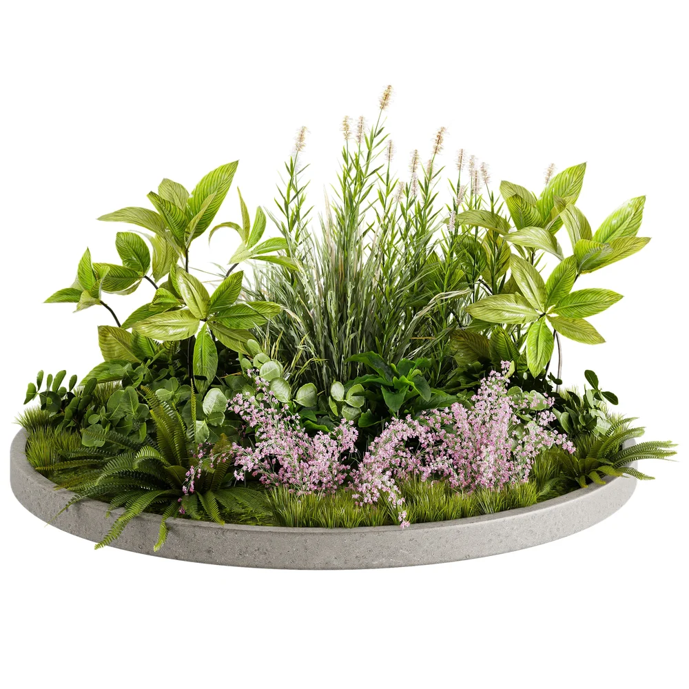Garden Plants C