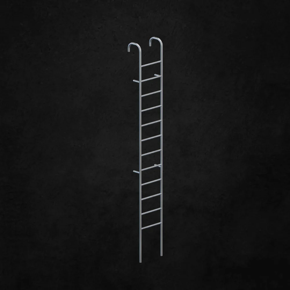 Exterior Ladder
