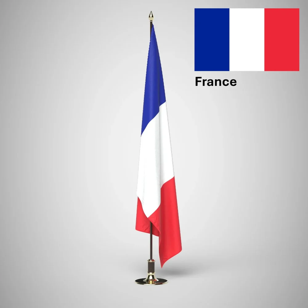 France Ceremonial Flag On Stand